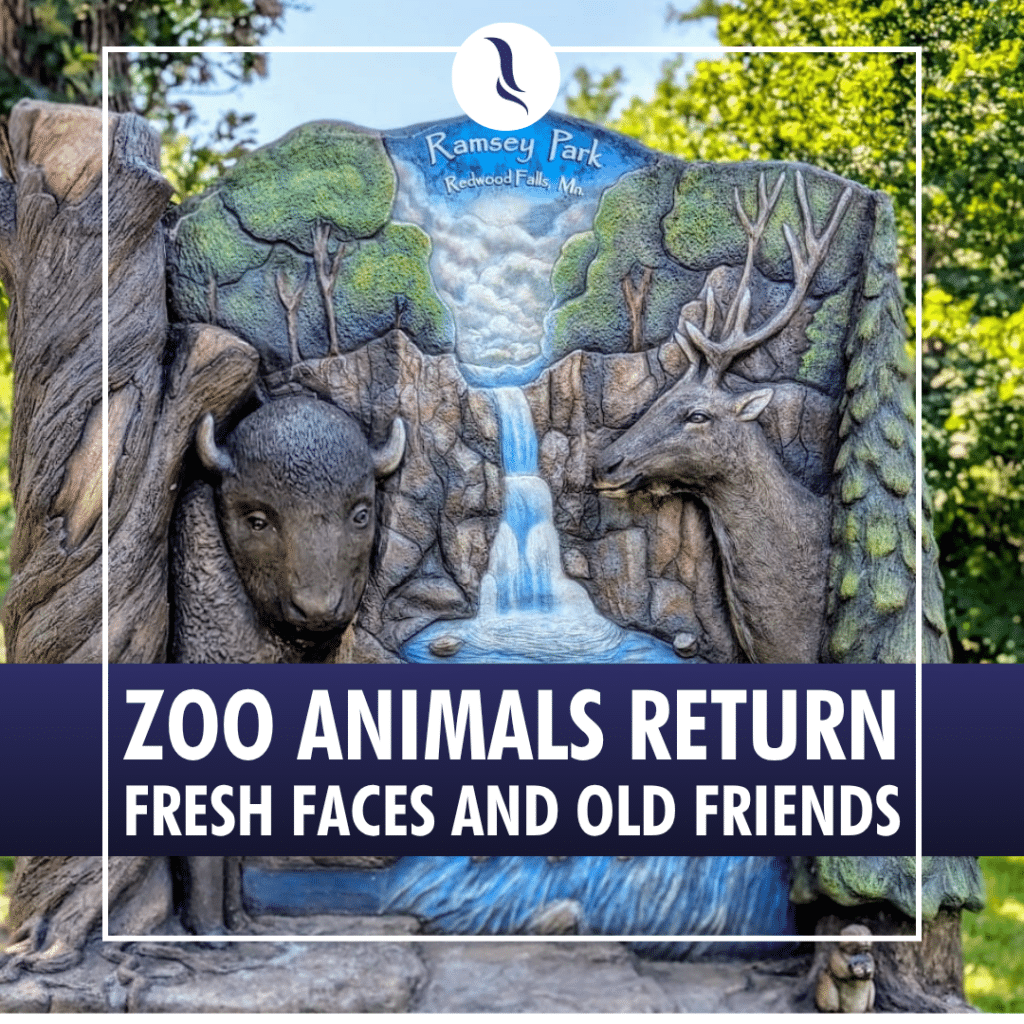 Zoo Animals Return - Fresh Faces and Old Friends